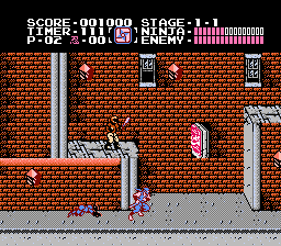 Ninja Gaiden